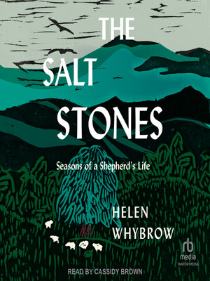 cover image of The Salt Stones